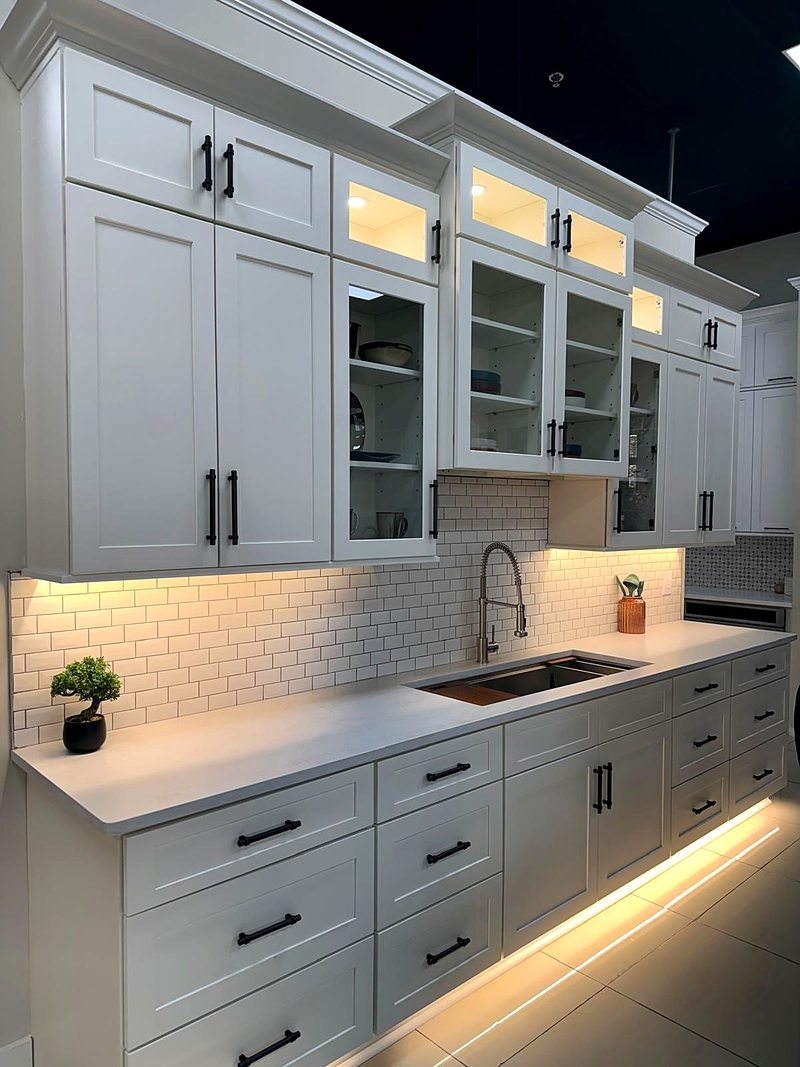 Gabinetes de cocina de panel realzado espresso
